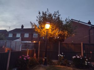 Lampost- click for photo gallery